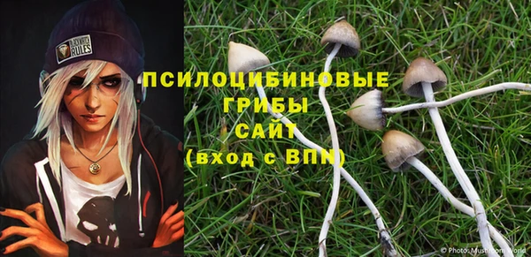 бутират Дмитров
