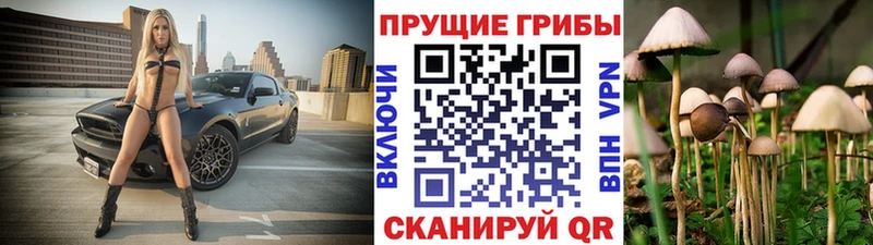 Купить закладки  Анапа  Галлюциногенные грибы Psilocybine cubensis 